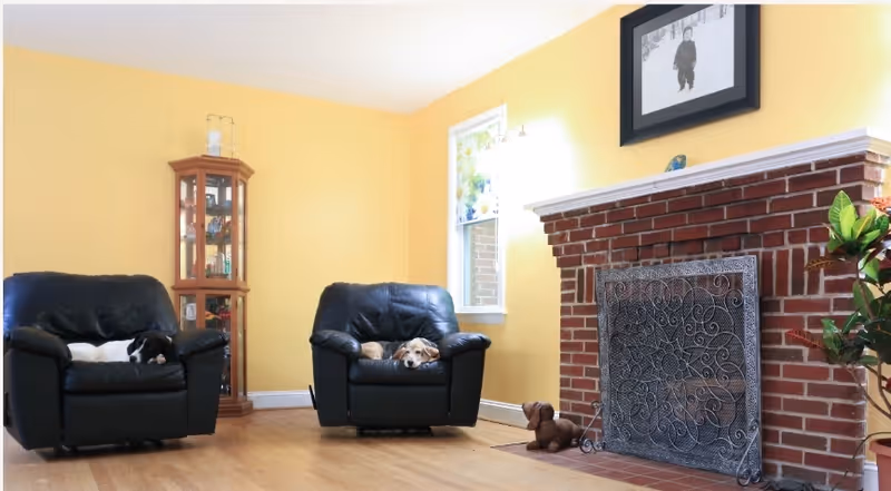 Sunny living room with two black leather chairs occupied by resting dogs, a brick fireplace with a decorative screen, and hardwood floors.