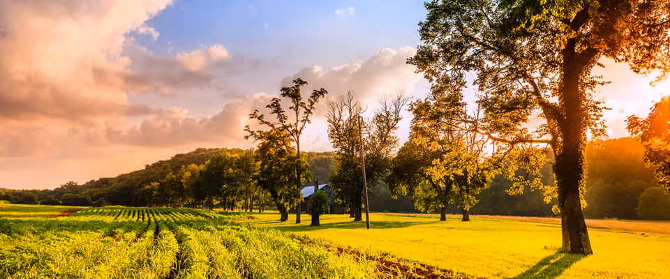 Sunlit rural landscape with rows of crops, trees, a small barn, and a glowing sunset sky.