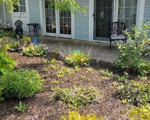 A garden area with various green plants and shrubs in front of a light blue building with white-framed glass doors and windows. There are two black metal chairs and a small black table on a concrete patio.