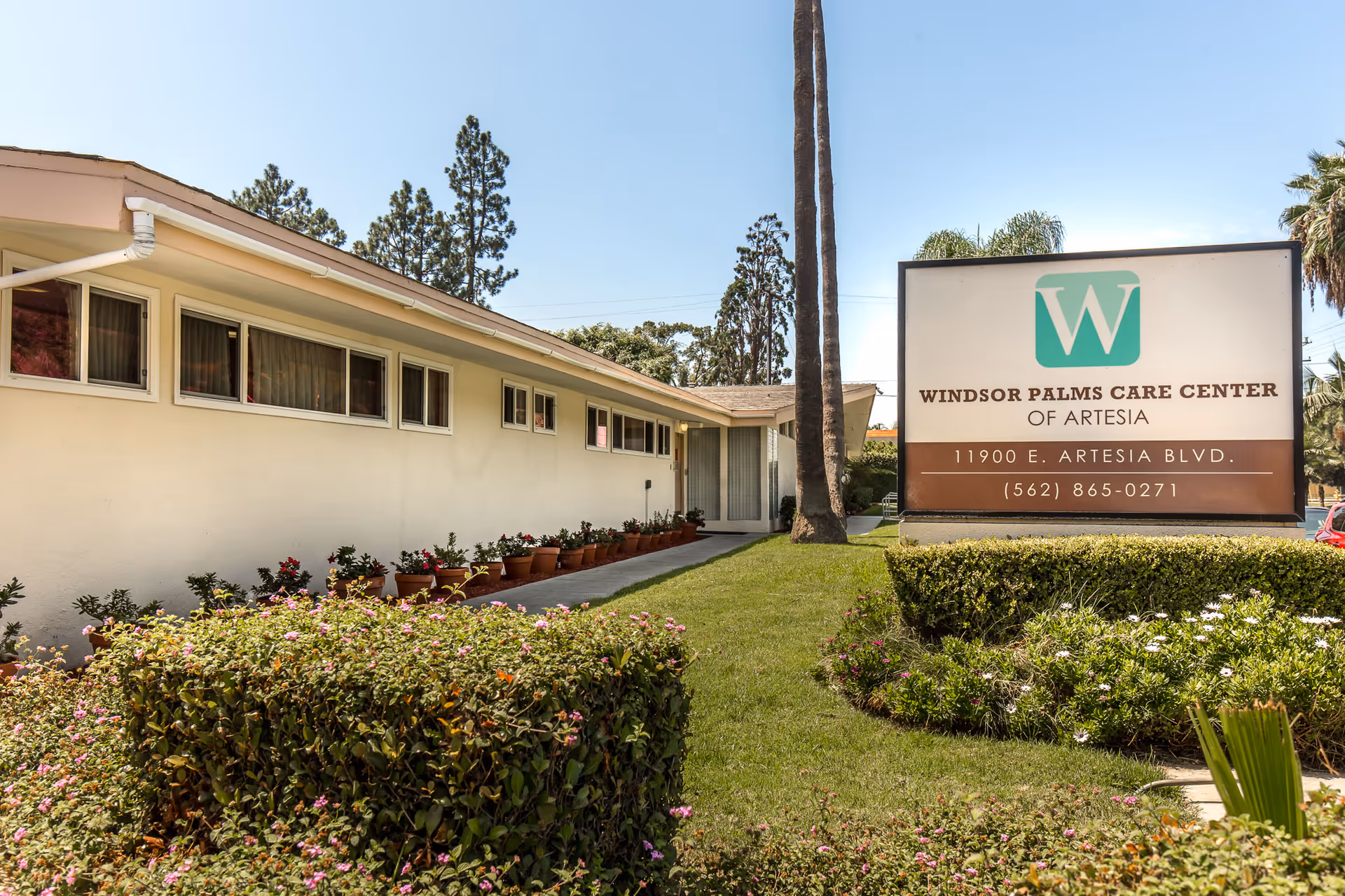 Front exterior of Windsor Palms Care Center with a large entrance sign, palm trees, and landscaped lawn.