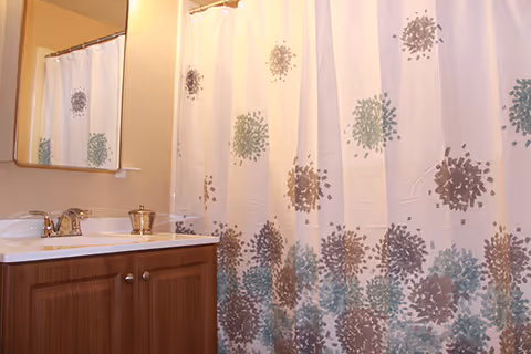 Bathroom vanity with mirror, sink and a patterned shower curtain.