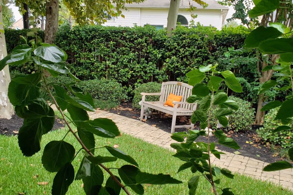 A peaceful outdoor garden area with a wooden bench featuring an orange pillow, surrounded by green bushes, trees, and a paved walkway.