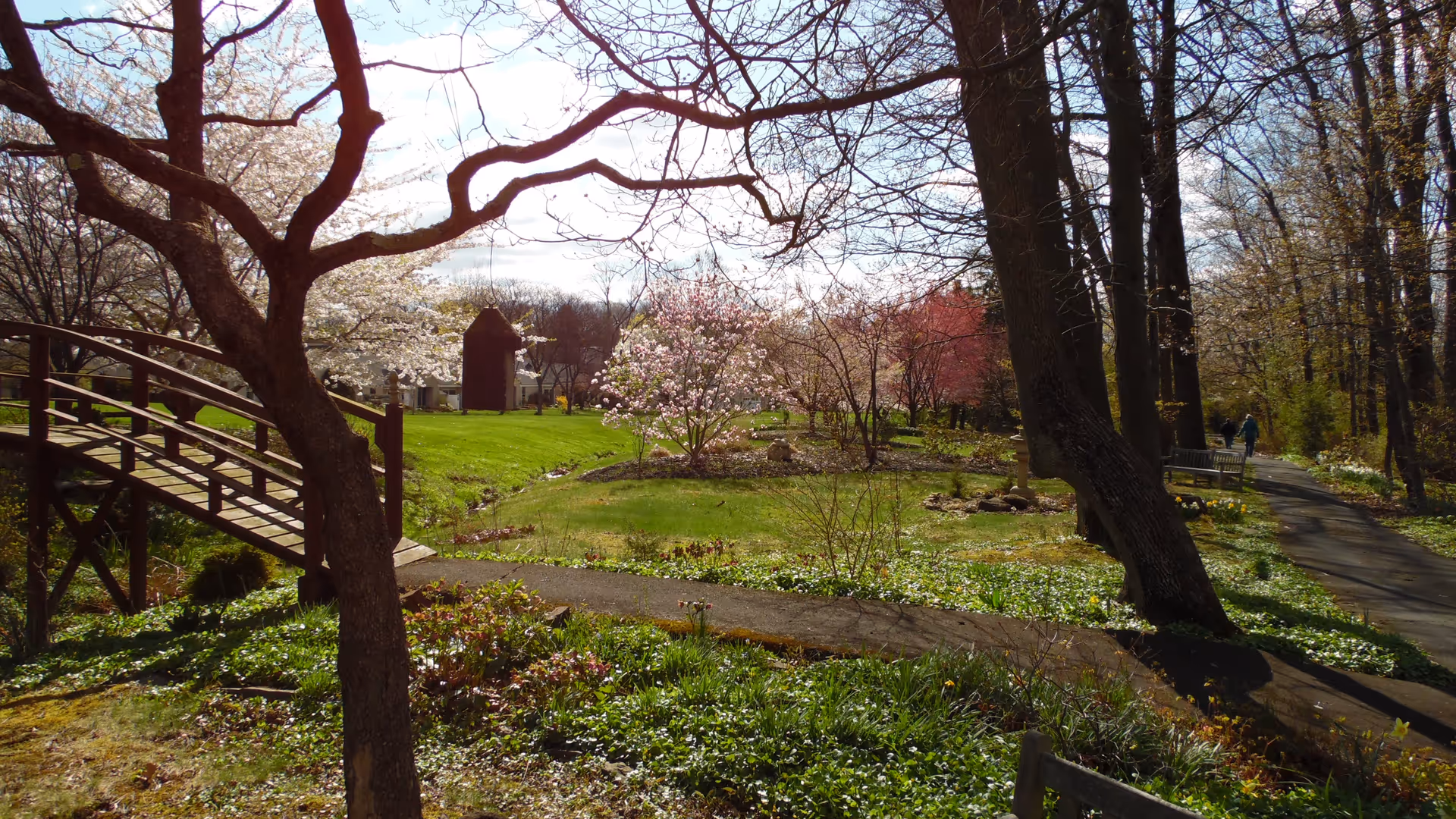 A scenic outdoor garden area with a wooden footbridge over a small stream, blooming trees with pink and white flowers, green grass, and a paved walking path. Two people are walking in the distance along the path surrounded by tall trees and various plants.
