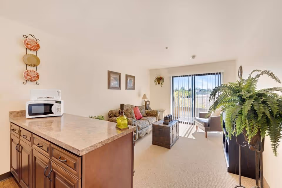 Bright living room with a sofa, armchair, coffee table, large potted fern, and a kitchenette counter with a microwave opening onto a sliding glass door balcony.