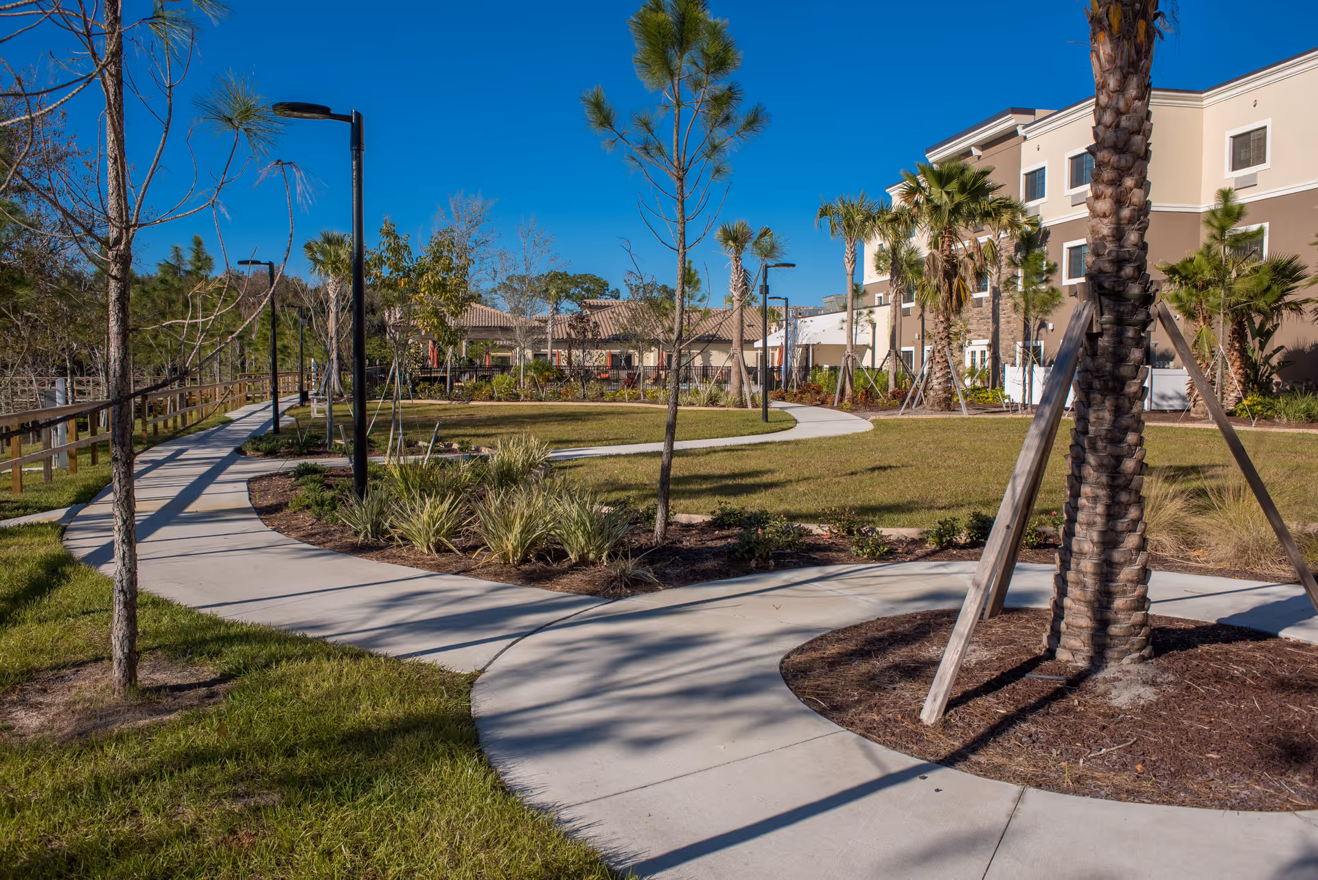 Curved concrete walking paths surrounded by grass, young trees, and landscaped plants in an outdoor garden area next to a multi-story building under a clear blue sky.