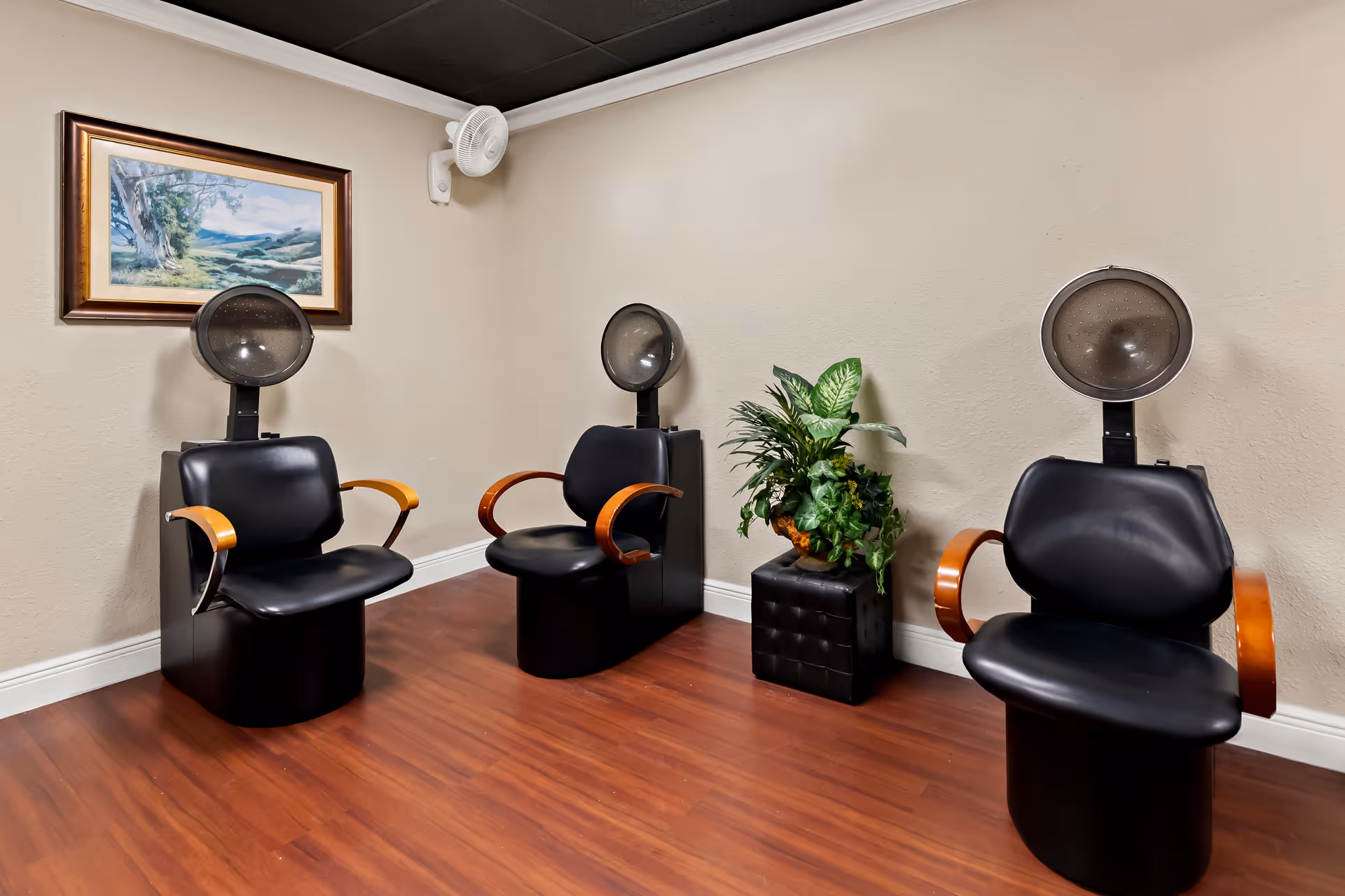A room with three black salon hair dryer chairs with wooden armrests arranged against beige walls. There is a framed landscape painting on the left wall and a green potted plant on a black ottoman between two of the chairs. The floor is a reddish-brown wood laminate.