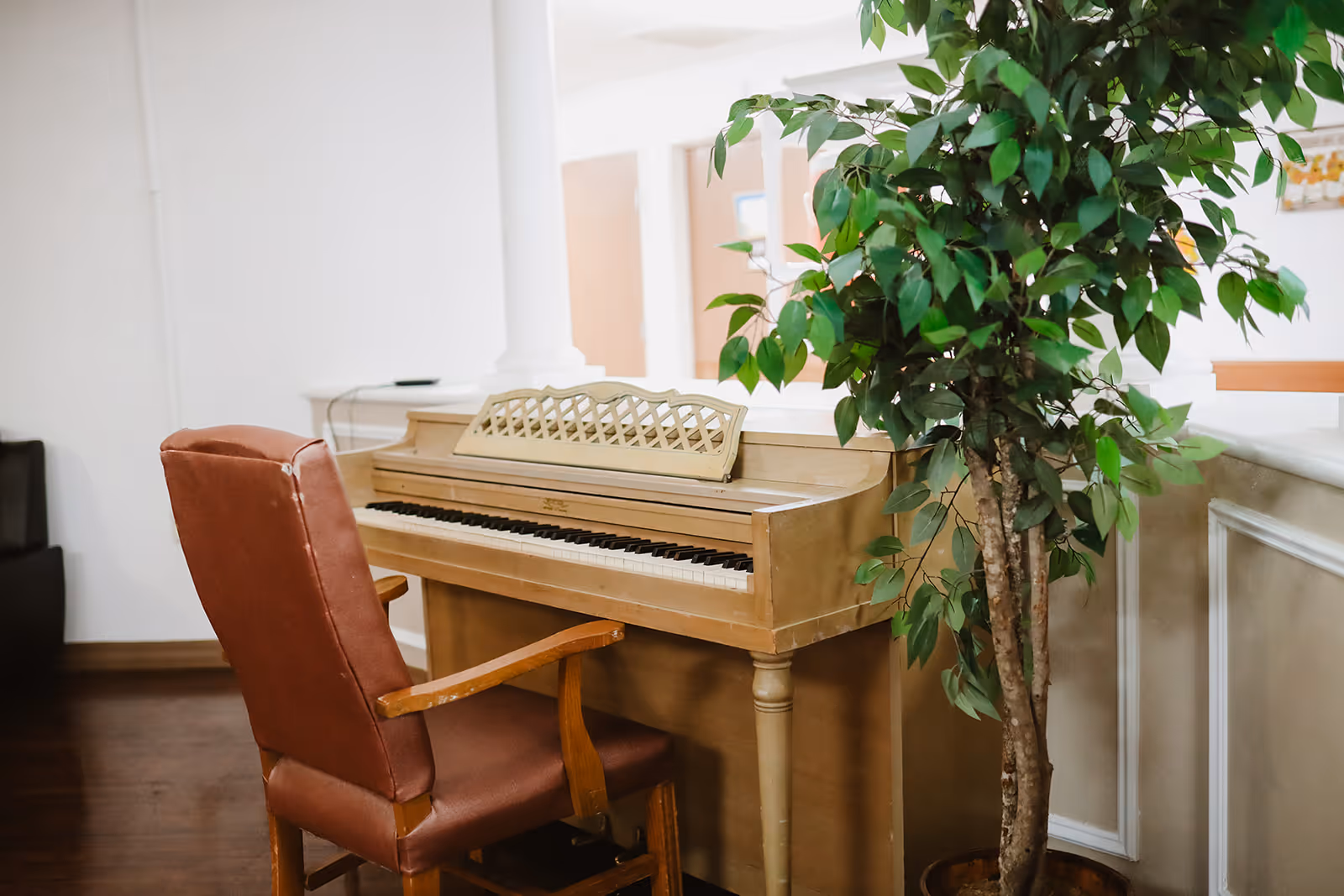 A wooden piano with a lattice music stand is placed against a half wall in a room. In front of the piano is a brown cushioned chair with wooden armrests. To the right of the piano, there is a tall green leafy plant in a pot. The room has wooden flooring and white walls with decorative molding.
