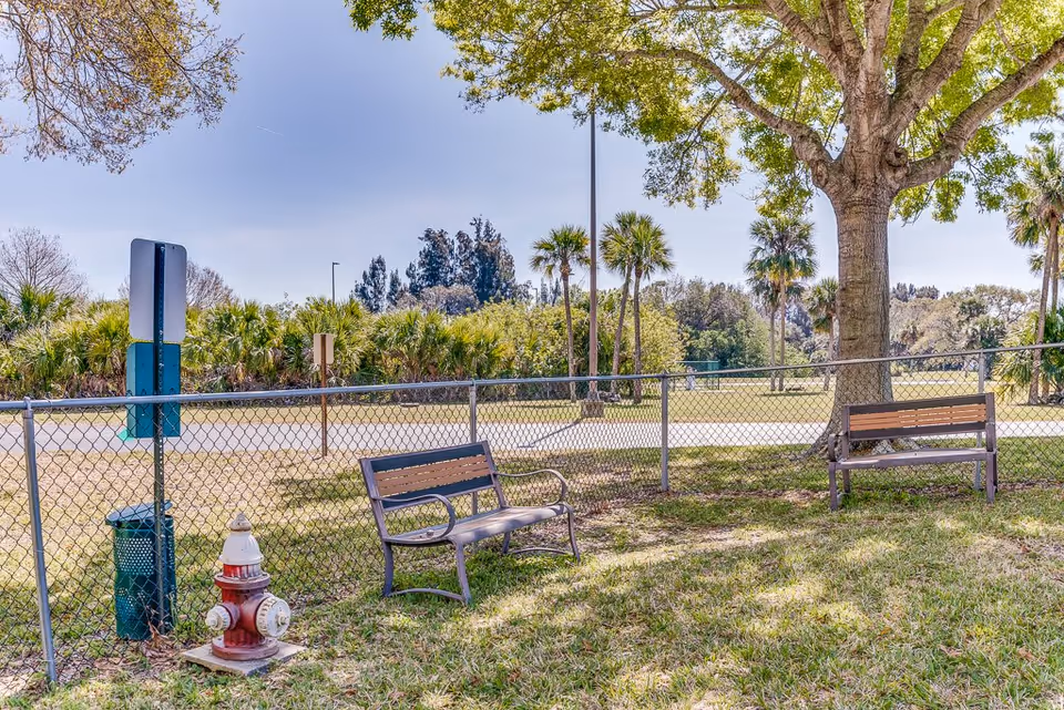 Outdoor area with two benches placed on grass near a large tree and a chain-link fence. There is a fire hydrant and a trash can next to the fence, with palm trees and other greenery in the background under a clear blue sky.
