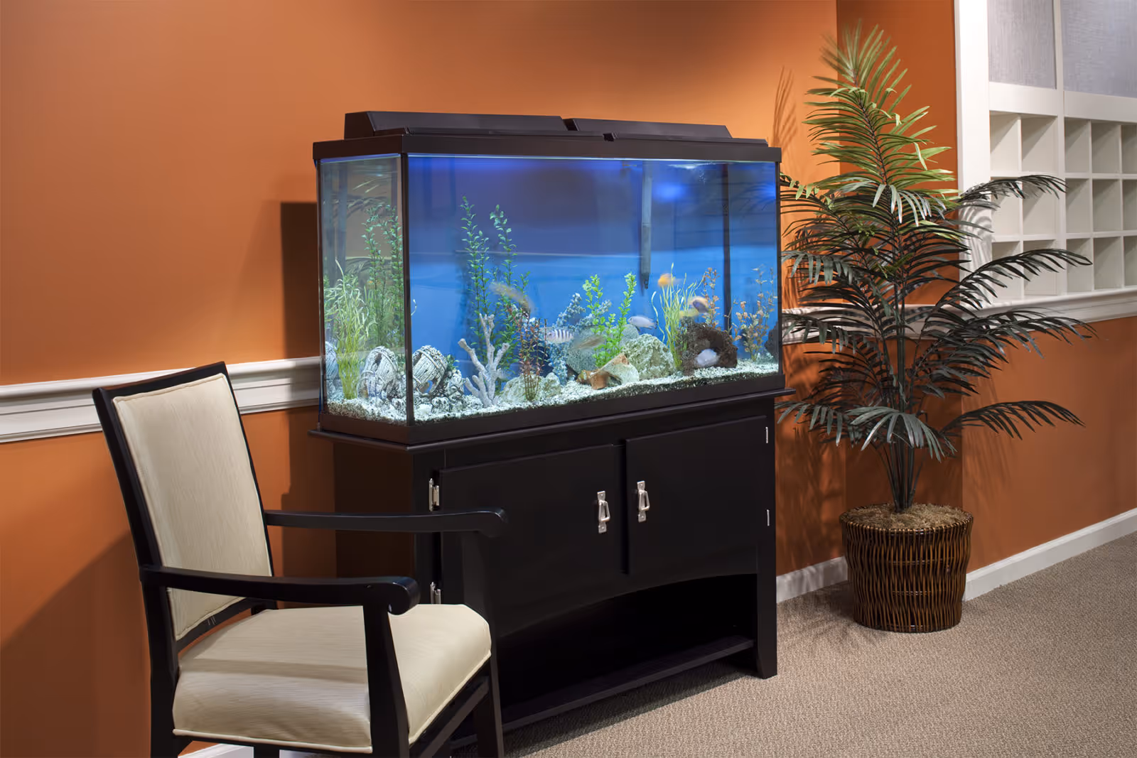 Aquarium on a black stand next to an upholstered chair and a potted palm in a warm-toned interior space.