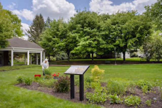 A senior woman tending to a garden bed with various plants and flowers in a green outdoor area. There is a small pavilion structure to the left and large leafy trees in the background under a partly cloudy sky.