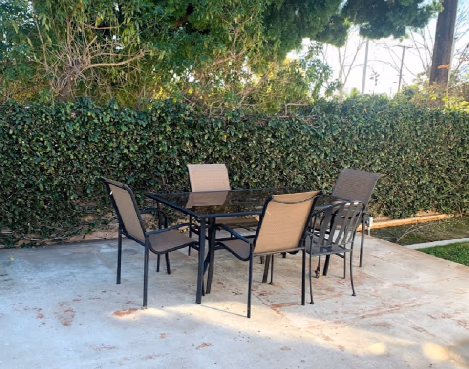 Glass-top patio table with six outdoor chairs on a concrete slab in front of a tall hedge.