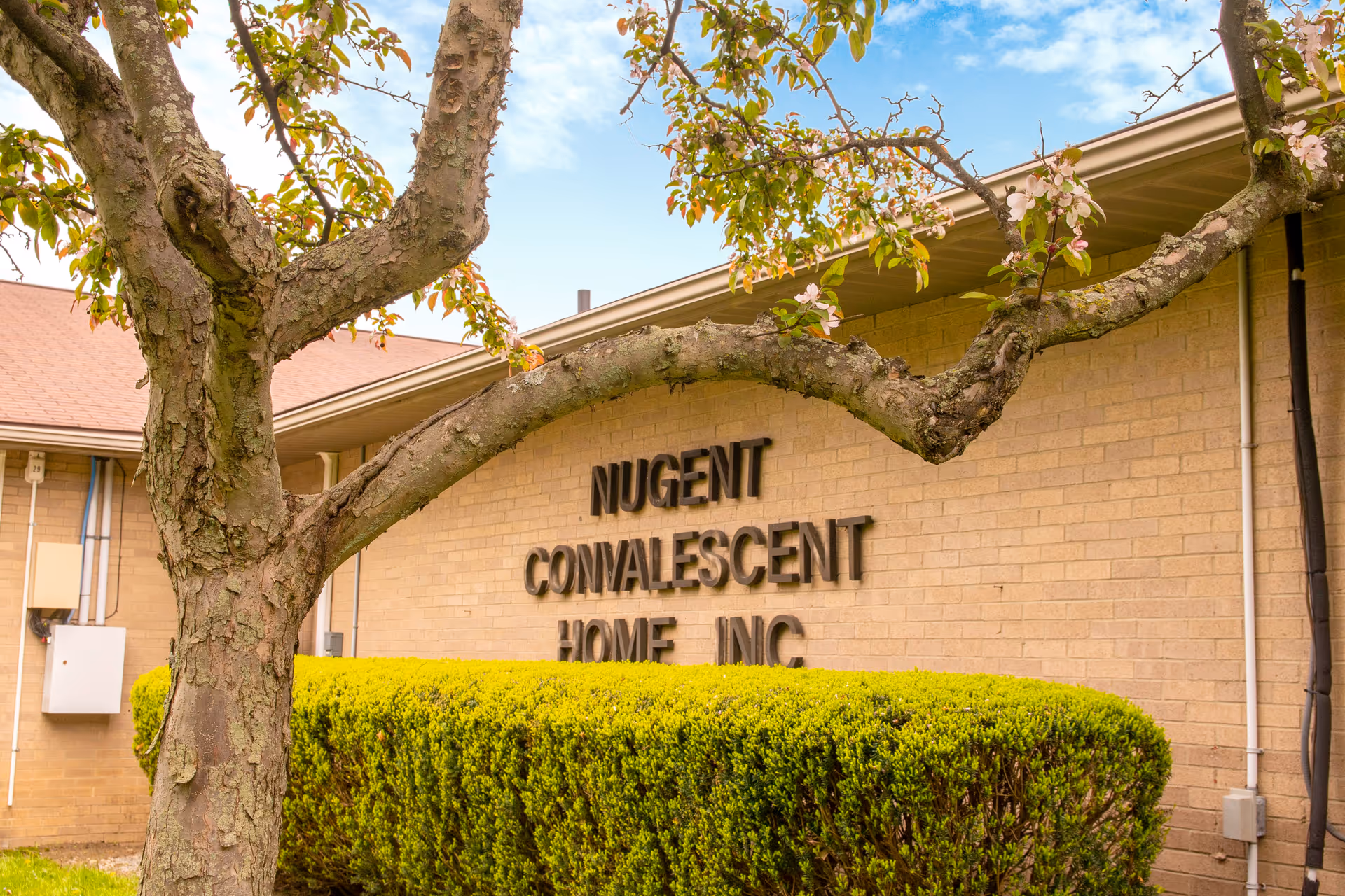 Exterior view of a brick building with the sign 'Nugent Convalescent Home Inc' mounted on the wall. In the foreground, there is a tree with some leaves and blossoms, and a neatly trimmed green hedge. The sky is partly cloudy with blue patches.