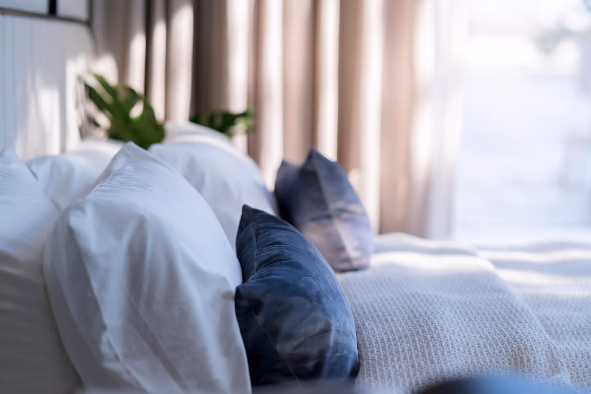 Close-up view of a neatly made bed with white pillows and blue accent pillows, soft natural light coming through sheer curtains in the background, and a green plant partially visible.