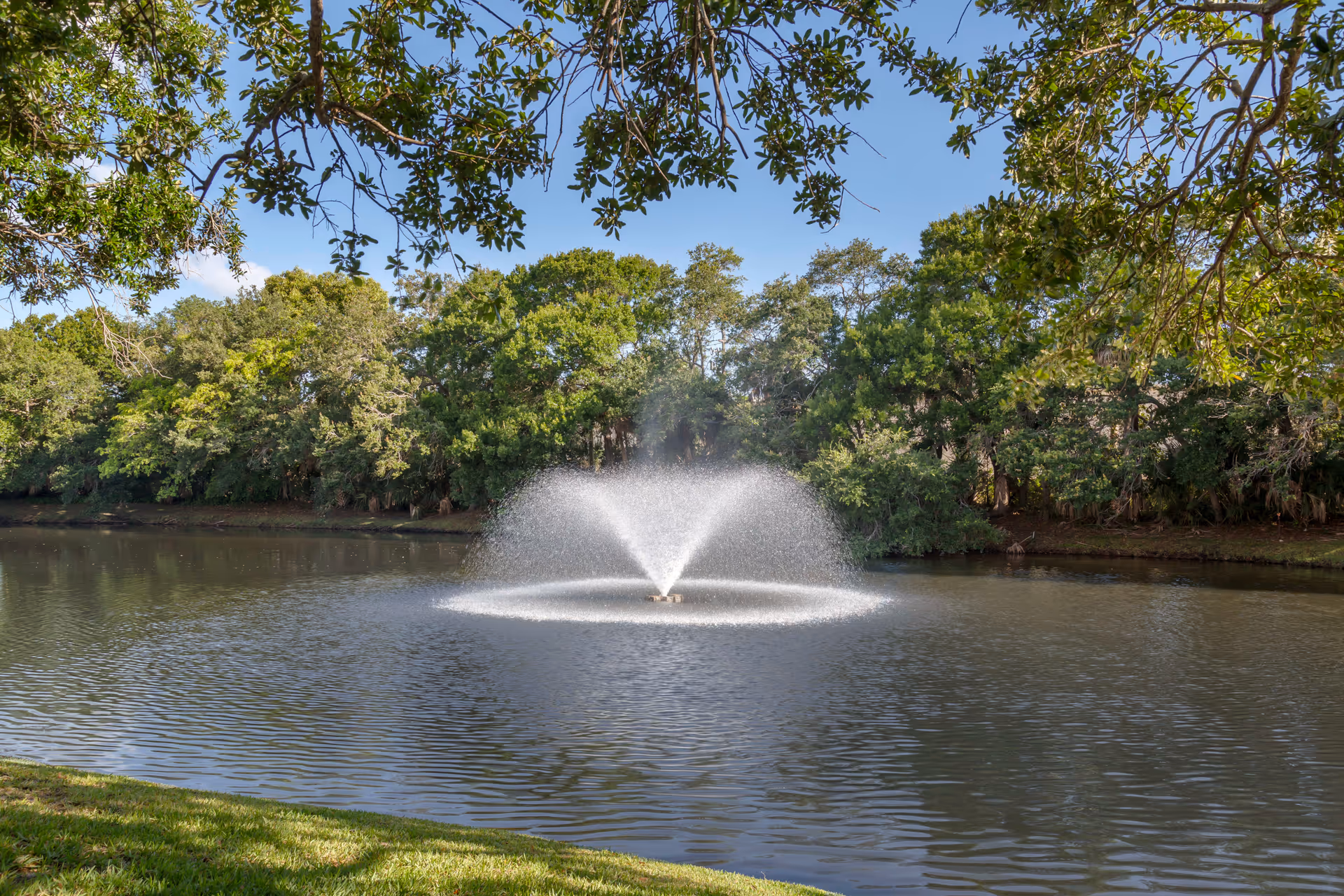 A water fountain spraying water in the middle of a pond surrounded by lush green trees and grass under a clear blue sky.