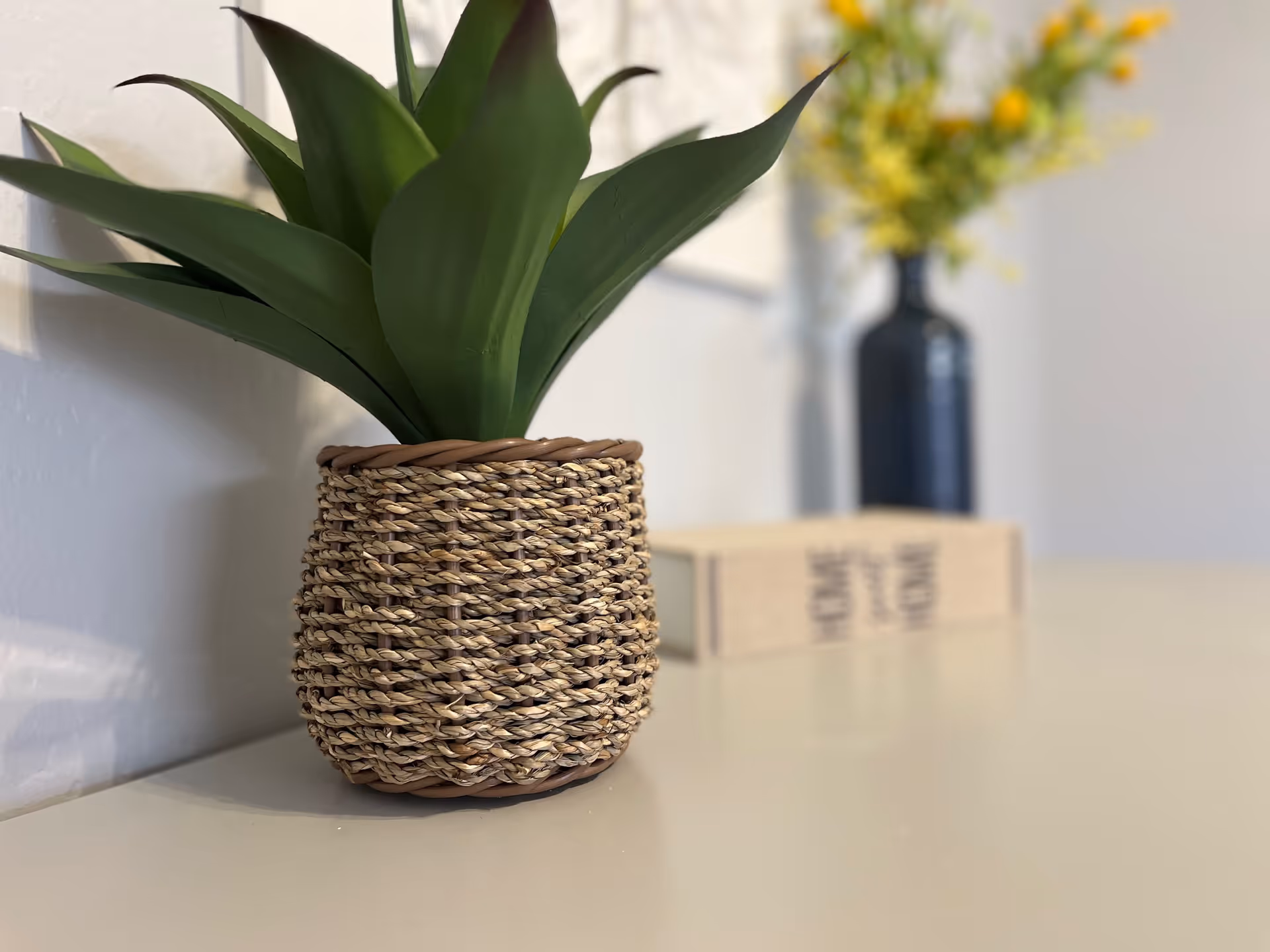 Close-up of a green plant in a woven basket pot placed on a white surface, with a blurred background showing a book and a dark vase with yellow flowers.