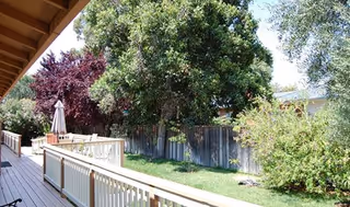 View of an outdoor patio area with a wooden railing and deck, overlooking a grassy yard with various trees and bushes under a clear sky.