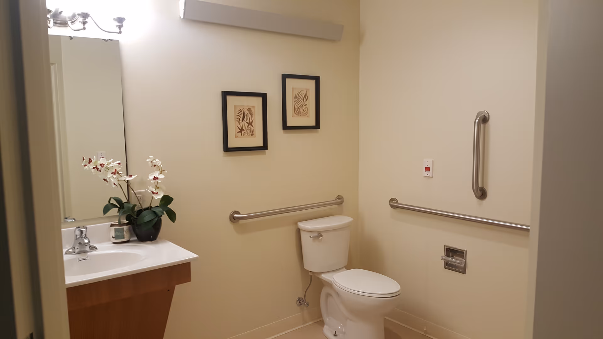 A clean and accessible bathroom with a white toilet, a sink with a faucet, a mirror above the sink, and two framed pictures on the wall. There are metal grab bars installed around the toilet for support, and a small potted orchid plant is placed on the sink counter.
