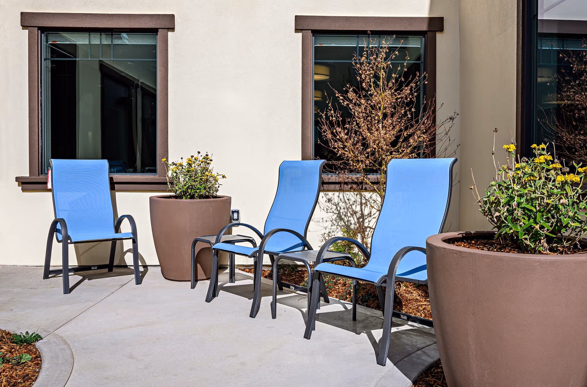 Three blue patio chairs and large potted plants on a concrete patio outside a building with two dark-framed windows.