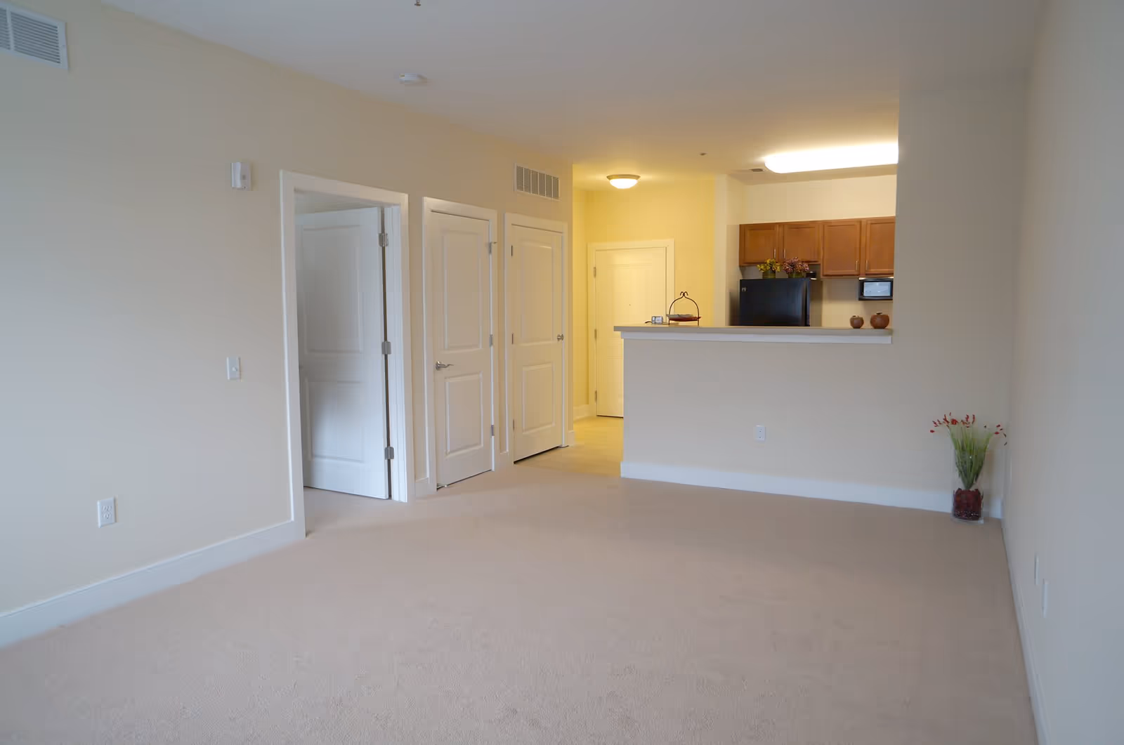 Empty open-plan living room with beige carpet and walls, a breakfast bar opening to a kitchen with wooden cabinets, and several white doors along the back wall.