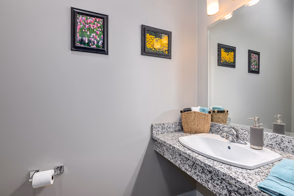 A bathroom sink area with a granite countertop, a white rectangular sink, a silver faucet, a soap dispenser, and a basket holding folded towels. Above the sink is a large mirror reflecting two framed pictures of flowers on the opposite wall. A toilet paper holder with a roll of toilet paper is mounted on the wall to the left.