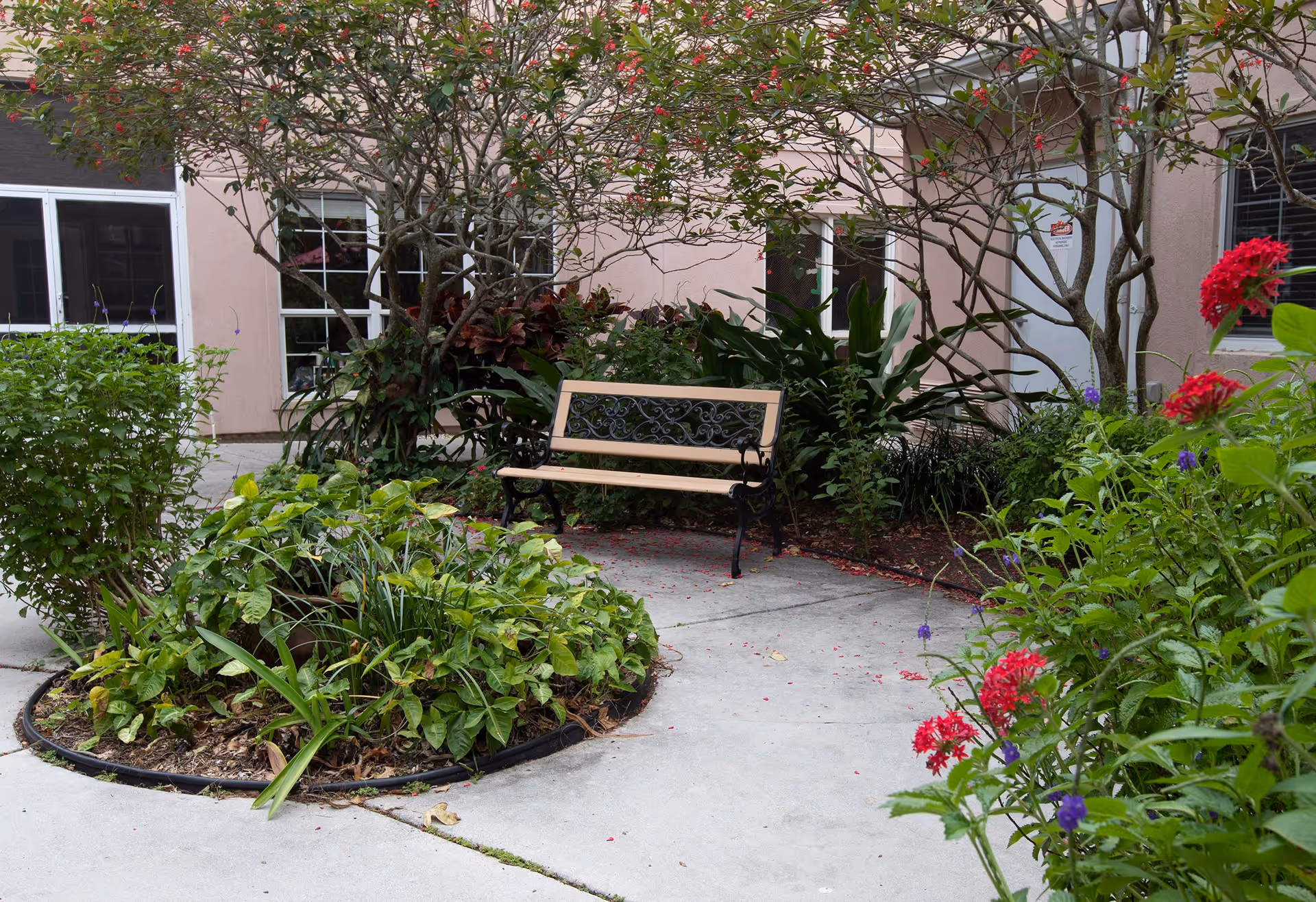 Outdoor garden area at Colonial Assisted Living at Palm Beach featuring a wooden bench with decorative black metal backrest, surrounded by lush green plants, flowering bushes with red and purple flowers, and a concrete pathway. The background shows the building's light pink exterior walls with windows and a door.