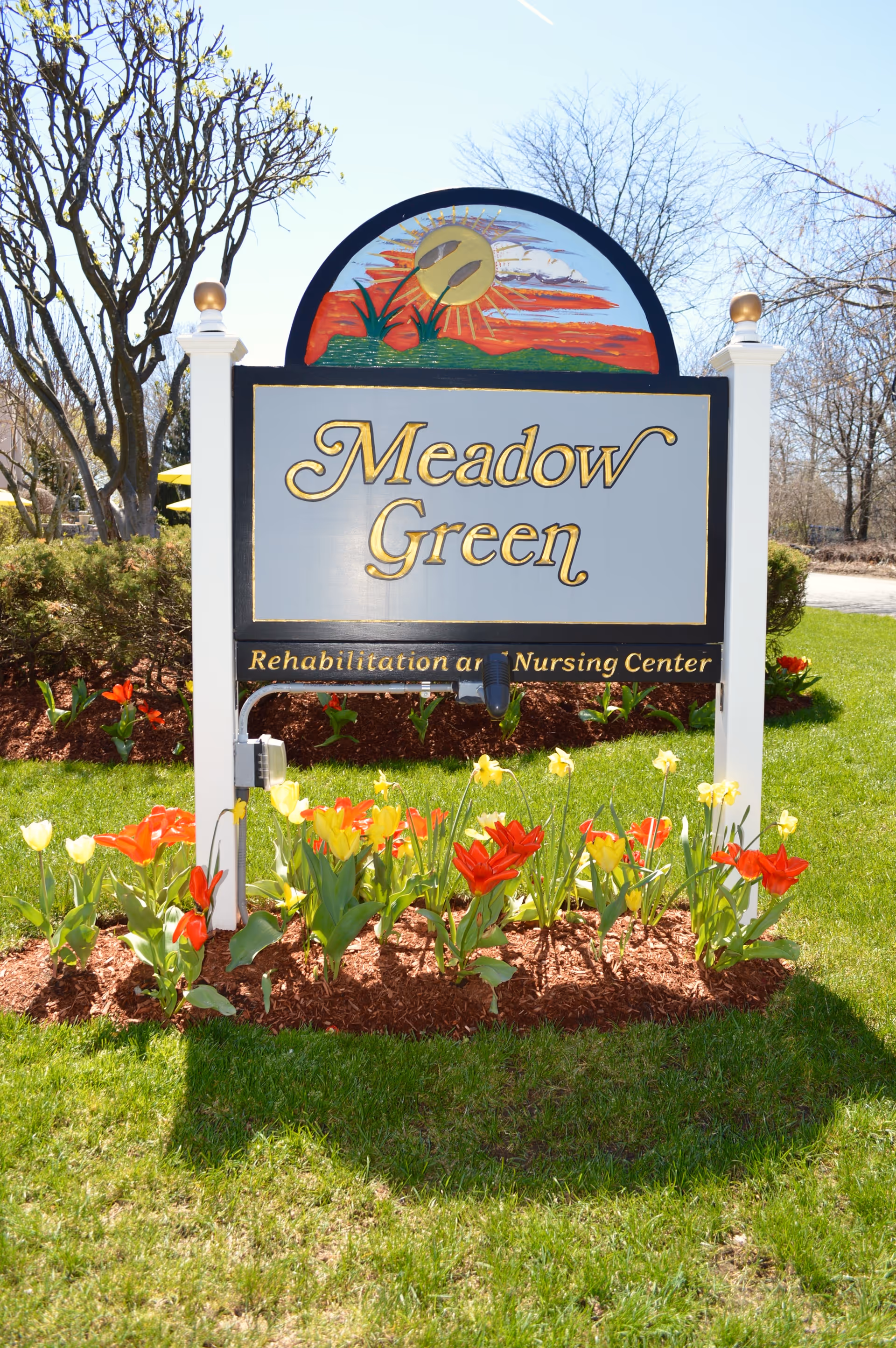 A sign for Meadow Green Rehabilitation and Nursing Center surrounded by a flower bed with red and yellow tulips, set on a green lawn with trees and bushes in the background under a clear sky.