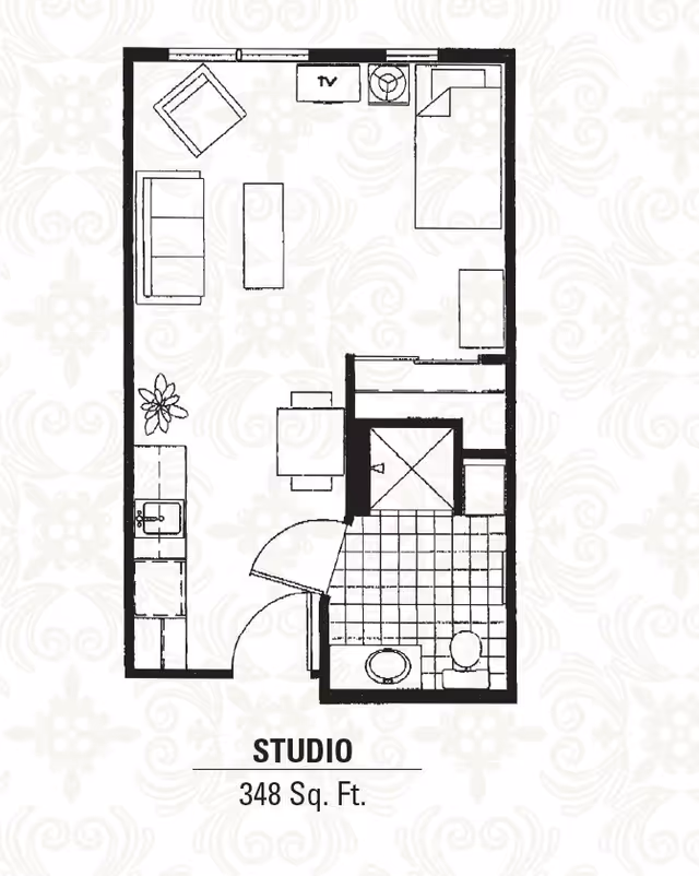 Floor plan of a studio apartment measuring 348 square feet, showing a combined living and sleeping area with a bed, sofa, chair, coffee table, TV, small dining table, kitchenette with sink, and a separate bathroom with a toilet and shower.