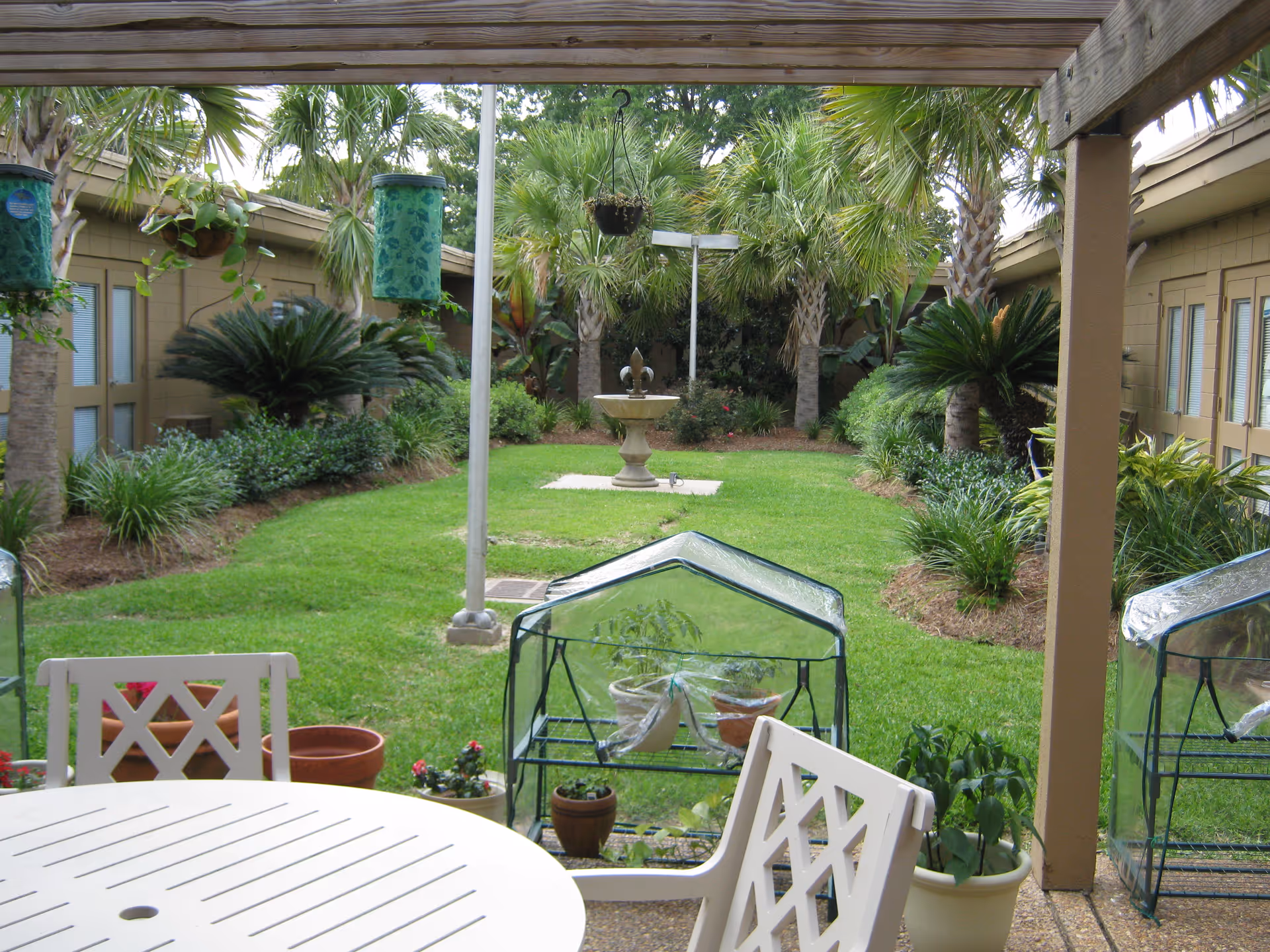 View from a covered patio into a landscaped courtyard with lawn, potted plants, small greenhouse covers and a central fountain.