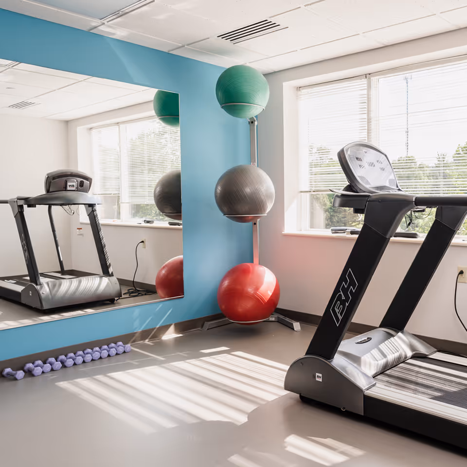A bright fitness room with a treadmill, three exercise balls stacked on a vertical rack against a blue wall, a large mirror reflecting the equipment, and a row of small purple dumbbells on the floor. Sunlight streams through the window with blinds partially open.