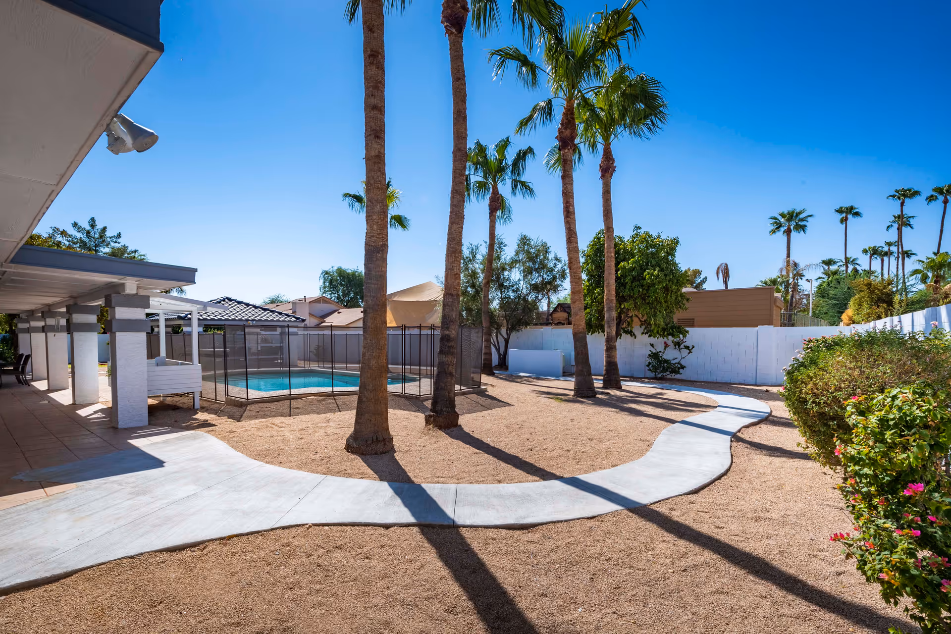 Outdoor area of Bella Vita Assisted Living at Cholla featuring a curved concrete walkway, several tall palm trees, a fenced swimming pool, and surrounding desert landscaping with bushes and gravel ground cover under a clear blue sky.