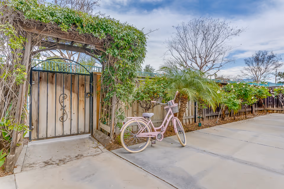 A pink bicycle leans against a fence beside a vine-covered wooden gate in a paved outdoor courtyard.