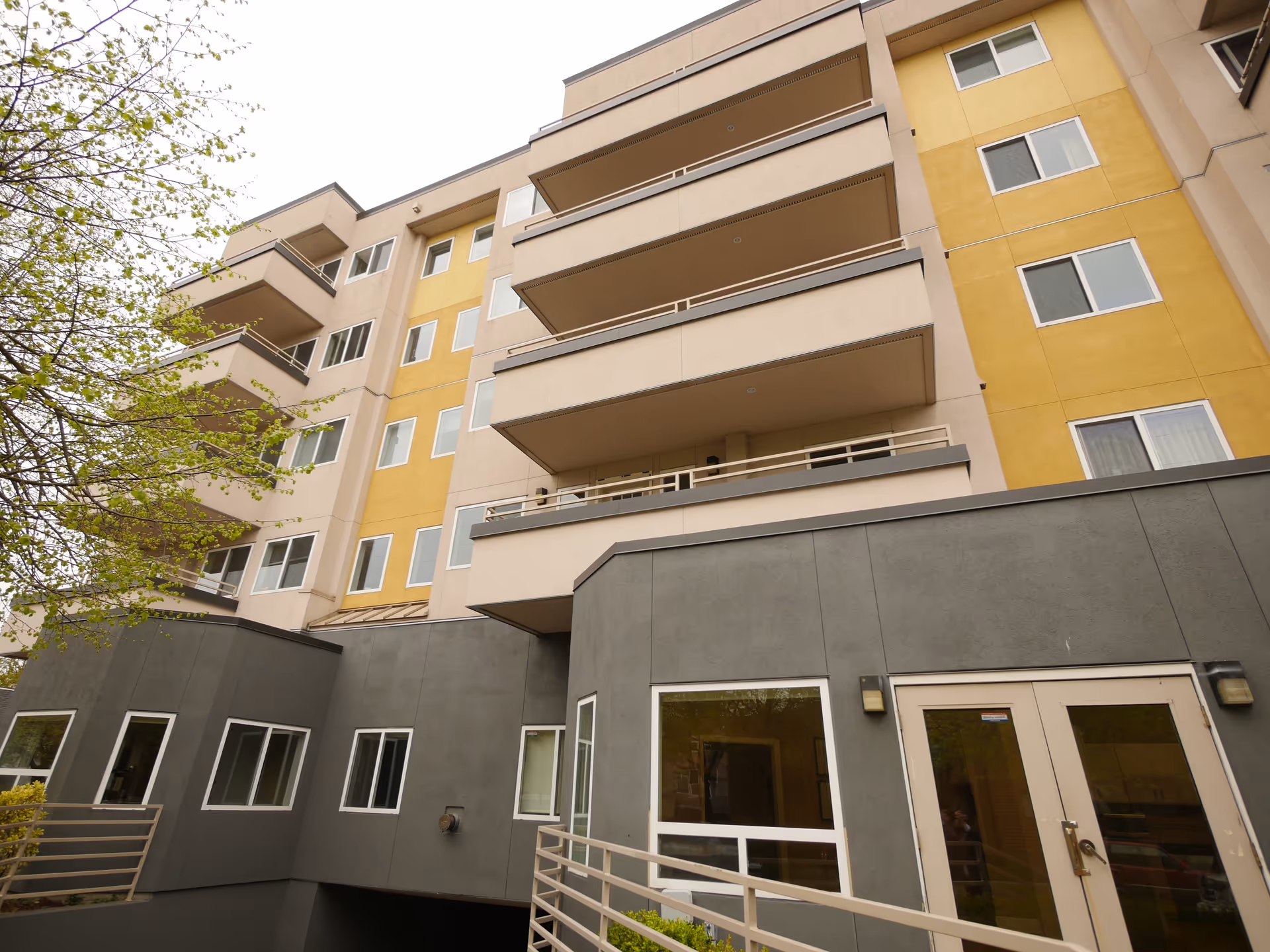 Exterior view of a multi-story residential building with beige, yellow, and gray walls, multiple windows, balconies, and a tree with green leaves on the left side.