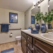 A bathroom with a toilet, a large mirror above a double sink vanity with dark wood cabinets, blue decorative vases and towels, a framed picture on the wall, and a blue rug on the floor.