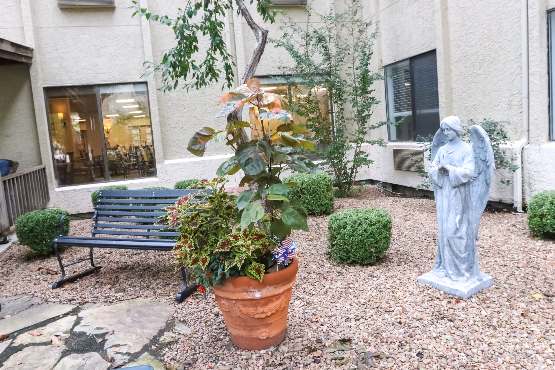 Small courtyard with a large potted plant, metal bench, trimmed shrubs, and an angel statue in front of building windows.
