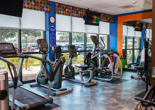 Bright fitness room with treadmills and elliptical machines facing large windows and wall-mounted TVs.