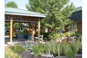Outdoor patio area with seating under a wooden pergola next to a pond with tall grasses and rocks, surrounded by trees and shrubs near a building with green metal roofing.