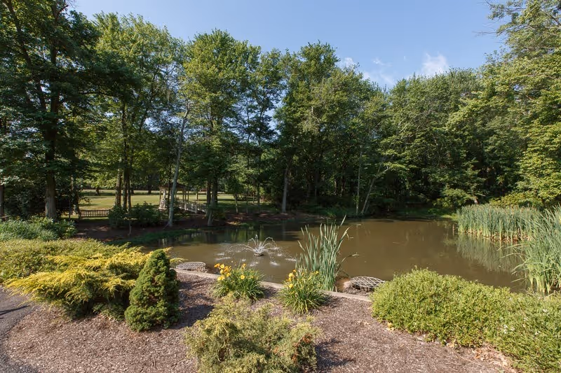 A small landscaped pond with a central fountain surrounded by shrubs, reeds and tall trees under a blue sky.