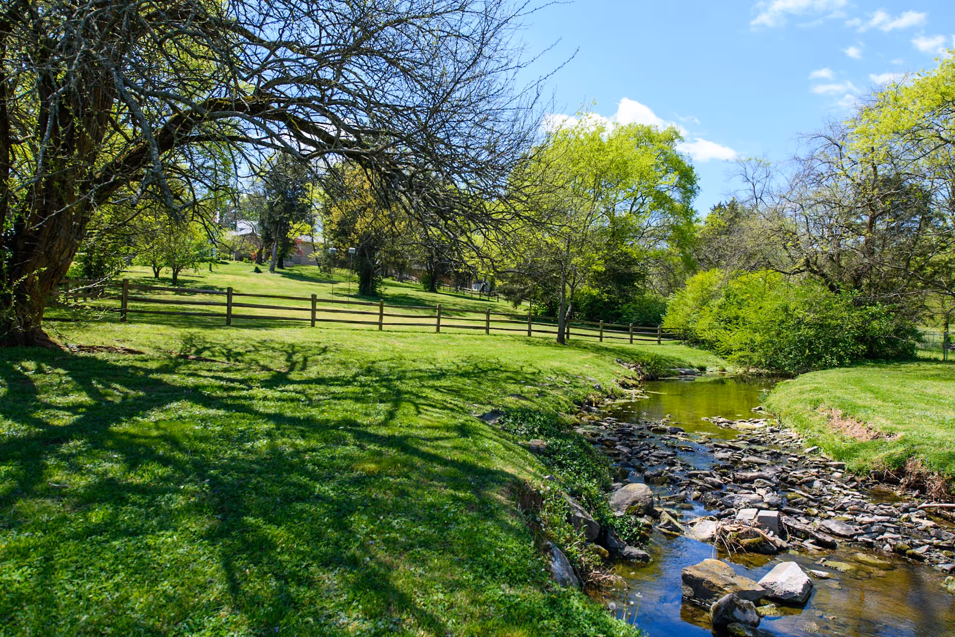 A peaceful outdoor scene featuring a small rocky creek flowing through a grassy area with trees and bushes on both sides under a bright blue sky with some clouds.