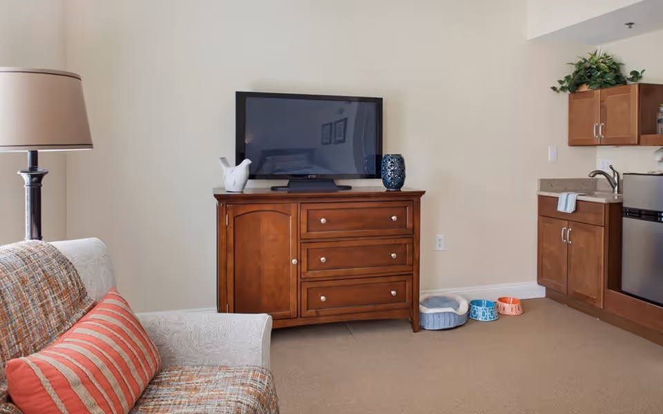 A cozy living area in a senior living facility featuring a patterned armchair with a striped pillow, a wooden TV stand with a flat-screen television, a decorative bird figurine, and a blue vase. To the right, there is a small kitchenette with wooden cabinets, a sink, a mini refrigerator, and a countertop with a towel. On the floor near the kitchenette, there are pet bowls and a pet bed. A floor lamp is positioned next to the armchair.