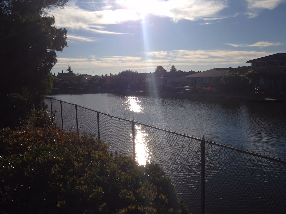 A serene outdoor scene showing a body of water bordered by a chain-link fence and bushes in the foreground. Across the water, there are houses and trees under a partly cloudy sky with the sun shining brightly, reflecting on the water's surface.