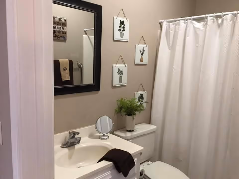 Bathroom with a sink and mirror, a toilet topped with a potted plant, and a shower behind a white curtain.
