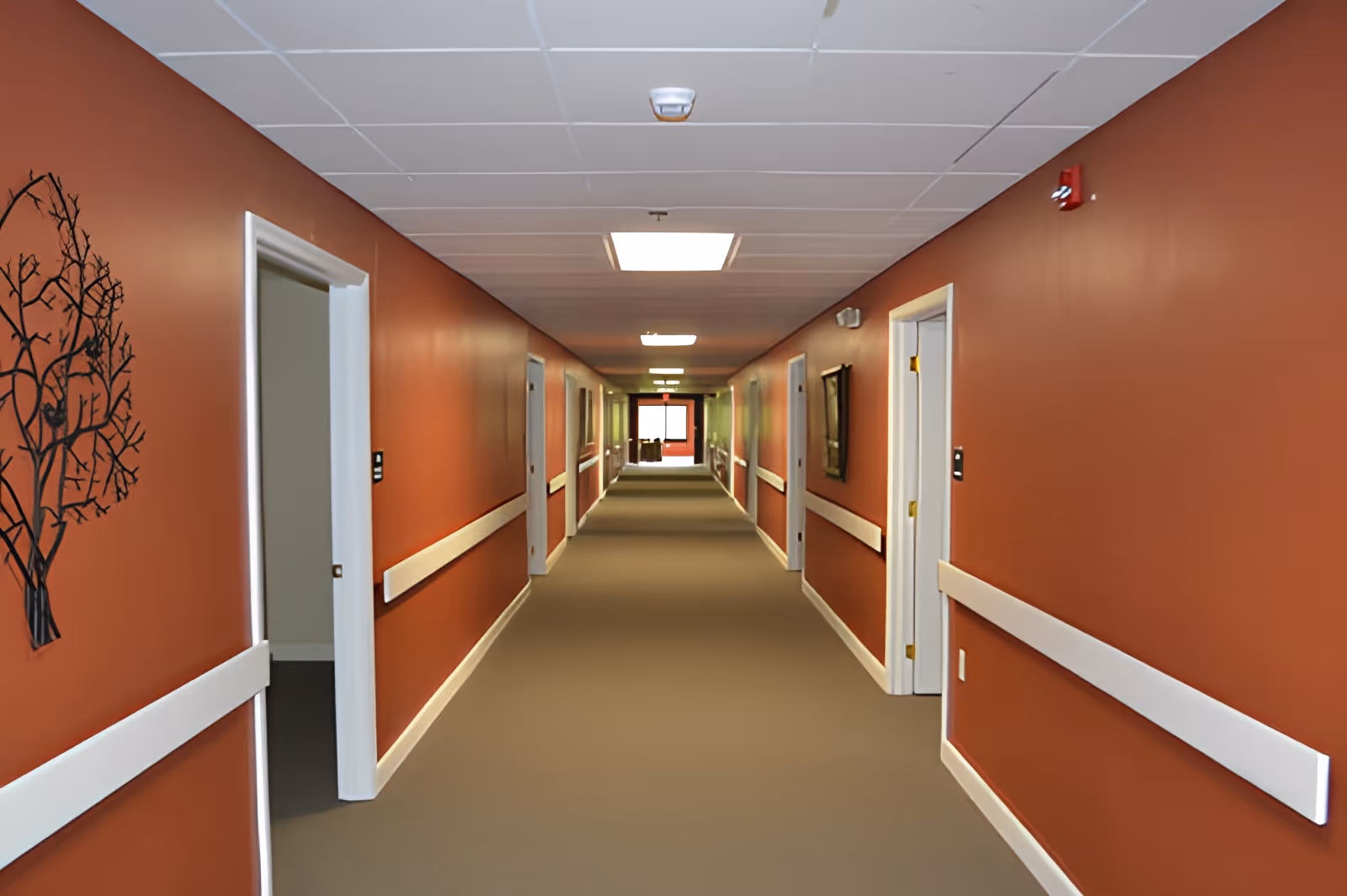 Long hallway in a senior living facility with red walls, white handrails, and several open doors on both sides. The ceiling has recessed lighting panels and there is a decorative metal tree wall art on the left wall.