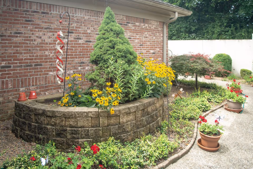 Small courtyard garden with a raised stone planter of yellow flowers and a conical shrub against a brick wall, with potted plants along a curved walkway.