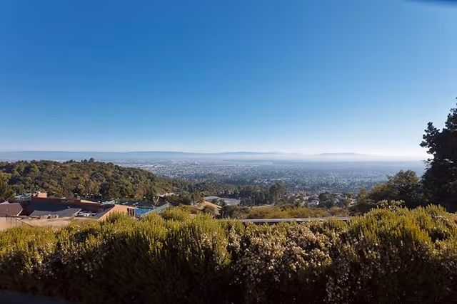 View overlooking a cityscape from a hillside with green shrubs and trees in the foreground under a clear blue sky.
