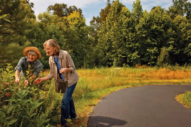Two elderly women picking berries from bushes along a paved path in a natural outdoor setting with trees and grass under a partly cloudy sky.