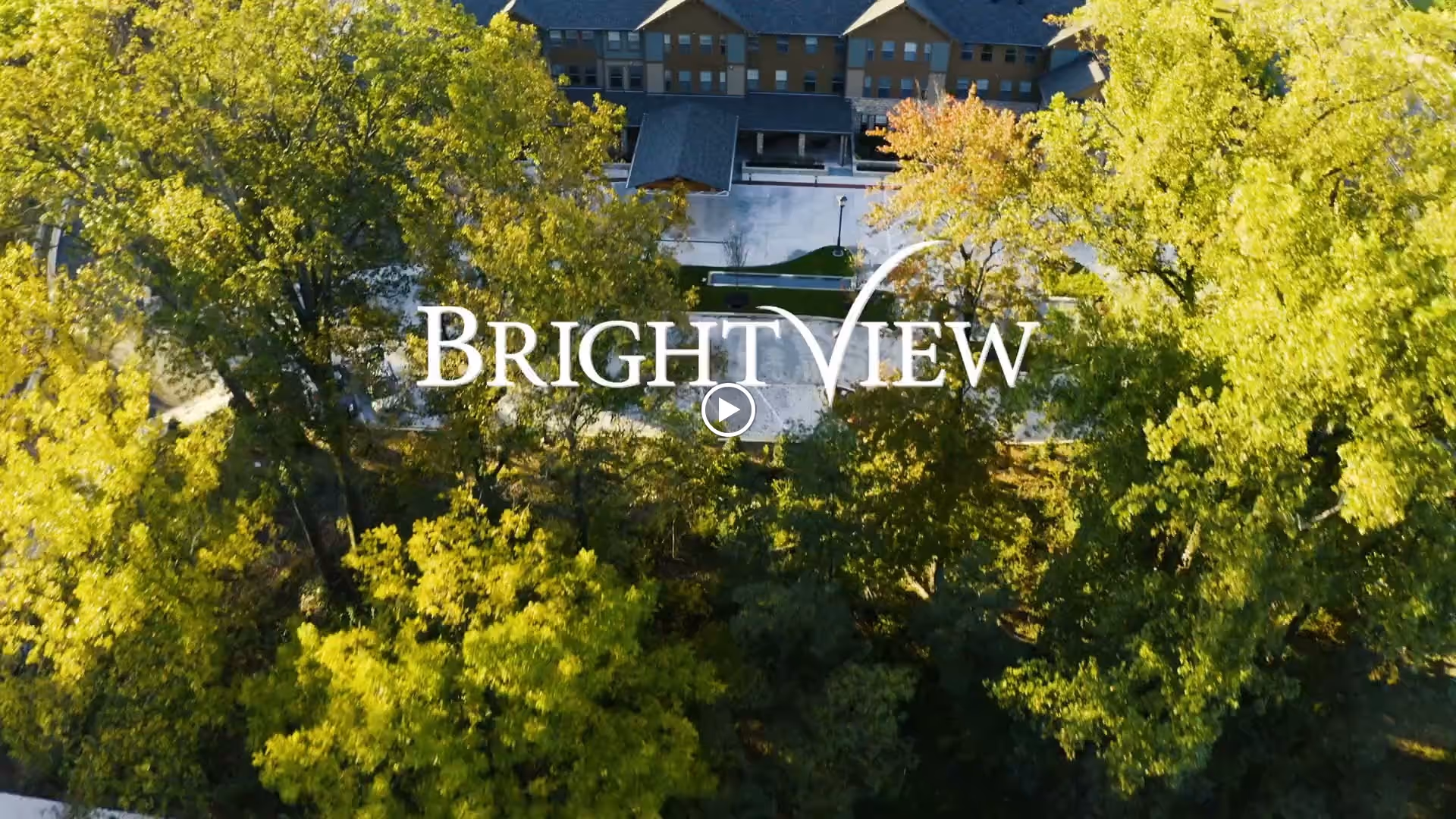 Aerial view of Brightview Senior Living corporate office building partially obscured by tall green trees with sunlight filtering through the leaves.
