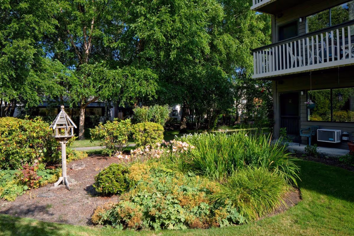 A lush garden area with various green shrubs, flowering plants, and a wooden birdhouse on a stand. In the background, there are tall green trees and part of a building with balconies and outdoor chairs visible.