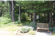 A peaceful outdoor garden area with a wooden bench surrounded by green plants and trees, with a shaded walking path leading into a wooded area.