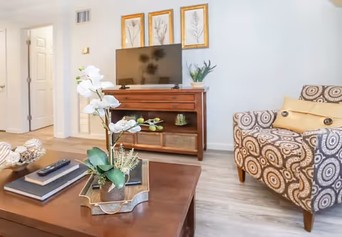 Bright living room with a patterned armchair, wooden TV console, coffee table with a floral arrangement, and framed wall art.