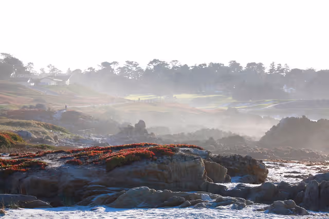 Rocky coastline with patches of red and green vegetation, mist rising in the background, and trees and houses visible on the horizon.
